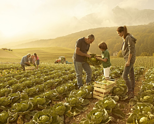 Agroalimentare di qualità